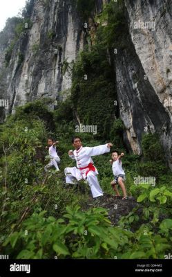 重慶名揚武校怎麼樣 可以從其歷史來看